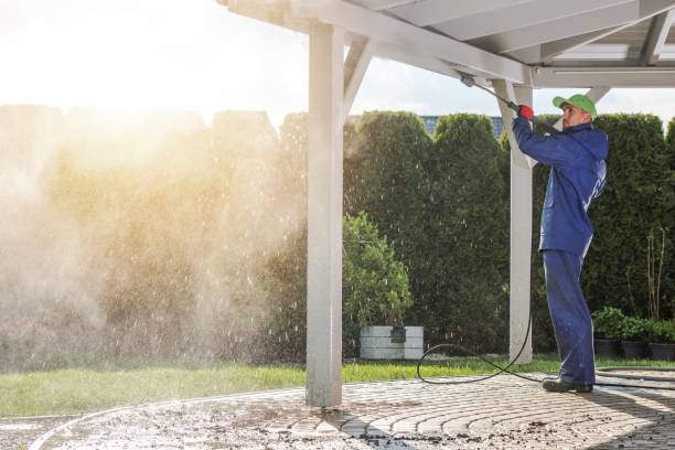 Best Roof Washing  in The Hammocks, FL